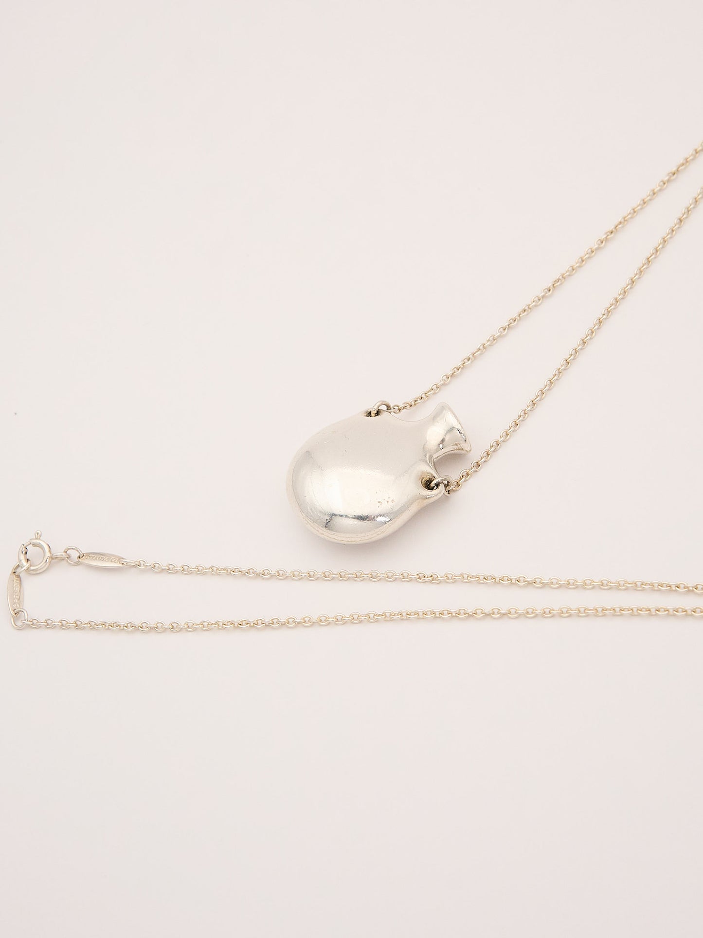 Tiffany | S925 Perfume Bottle Necklace