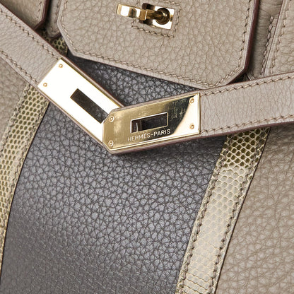 Hermes｜Birkin 30 Club Togo/Lizard  Etain/Graphite/Vert Olive  2011